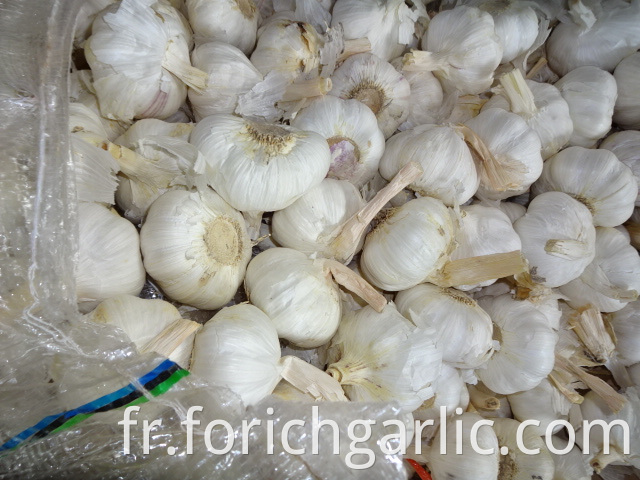 Best Quality Pure Garlic